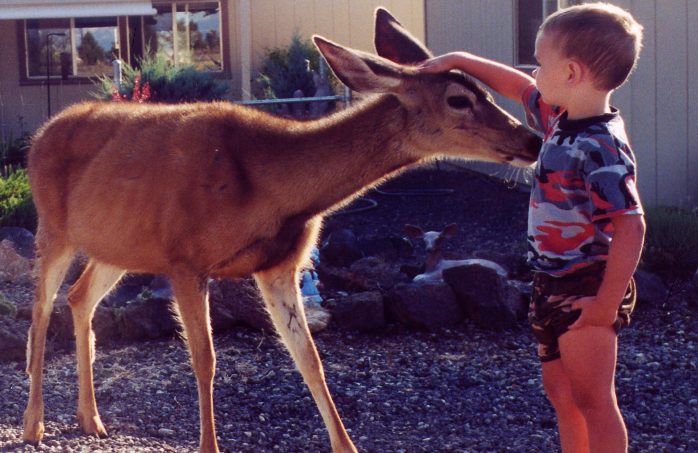Bobie with a dear